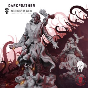 Dark Feather Adept | Fantasy Tabletop Miniature - 28MM - 100MM | Dungeons and Dragons DND