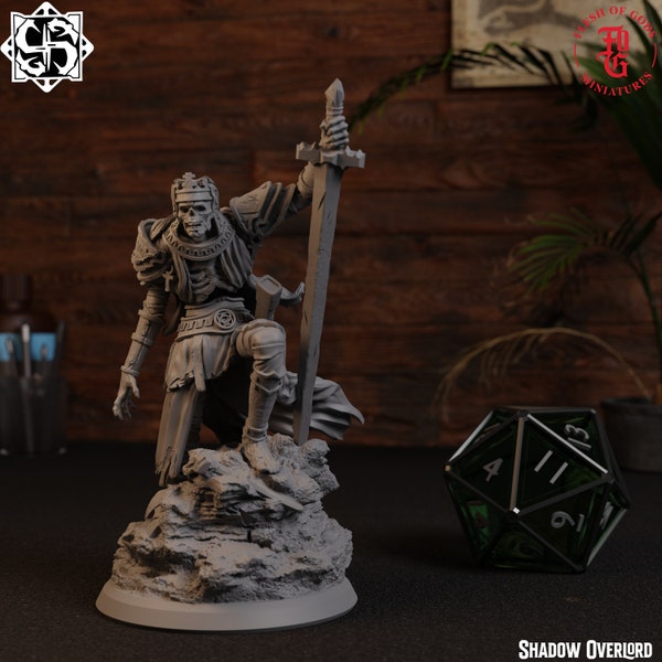 Shadow Overlord | Fantasy Tabletop Miniature - 28MM - 100MM | Dungeons and Dragons DND