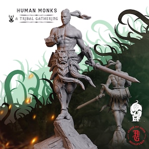 Human Monk | Fantasy Tabletop Miniature - 28MM - 100MM | Dungeons and Dragons DND