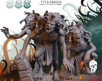 Gorgonborn | Monster Miniatures | High-Detail Resin Mini | DnD Tabletop RPG