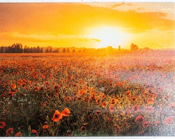 Könnte beinhalten: Rechteckiges Glas-Schneidebrett mit einem Feld roter Mohnblumen unter einem goldenen Sonnenuntergang. Das Bild zeigt eine malerische Landschaft mit strukturierter Oberfläche, geeignet für die Küche.
