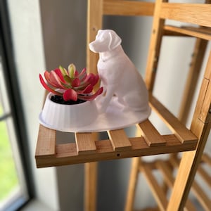 Könnte beinhalten: Weiße Keramik-Hundefigur, die auf einem Holzregal mit einer kleinen Topfpflanze sitzt. Die Sukkulente hat rote und grüne Blätter.