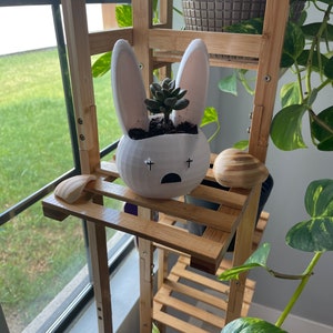 Rabbit pot plant custom succulent stand indoor inches tall
