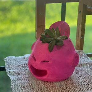 B pot plant custom succulent stand indoor inches tall