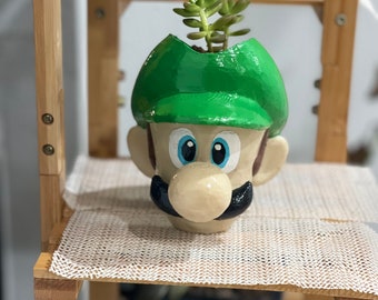 Green hat Bro pot plant custom succulent stand indoor inches tall