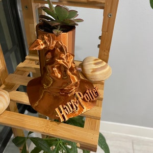 May include: A copper-colored, 3D printed Harry Potter Sorting Hat planter with a succulent plant inside. The planter is sitting on a wooden shelf.