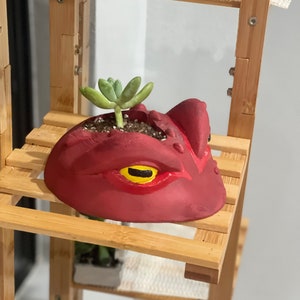 Frog face pot plant custom succulent stand indoor inches tall