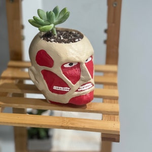 Face pot plant custom succulent stand indoor inches tall