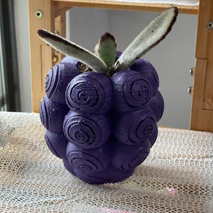 B D fruit Pot plant custom succulent stand indoor inches tall