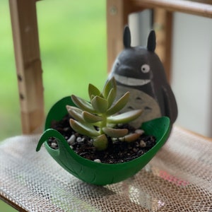 Tot with leaf pot plant custom succulent stand indoor inches
