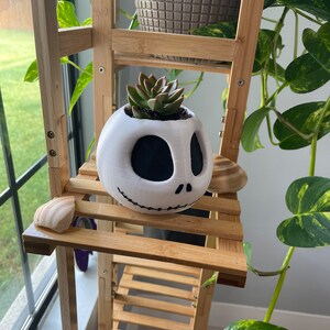 J Skell Pumkin K Head pot plant custom succulent stand indoor inches tall