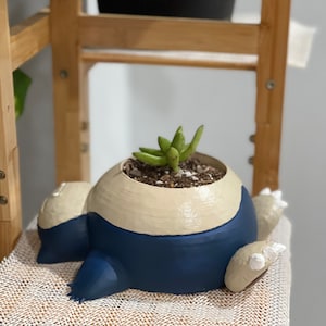 Sleeping Guy pot plant custom succulent stand indoor inches tall