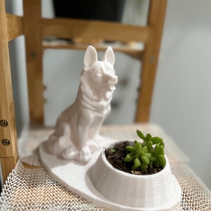 German Shepherd pot plant custom succulent stand indoor inches tall