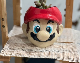 Red hat bro pot plant custom succulent stand indoor inches tall