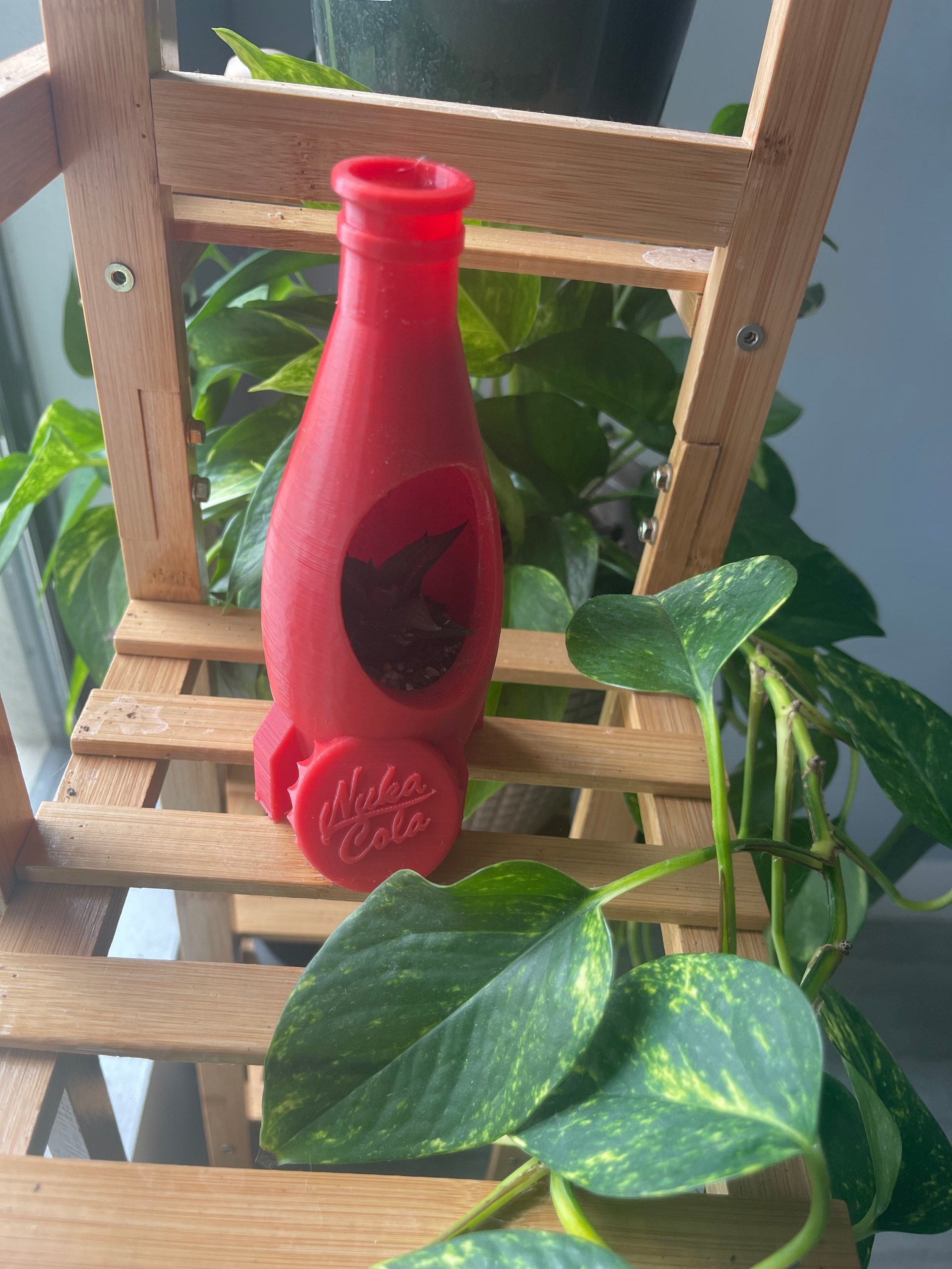 FO N Cola pot planter plant custom succulent stand indoor inches tall