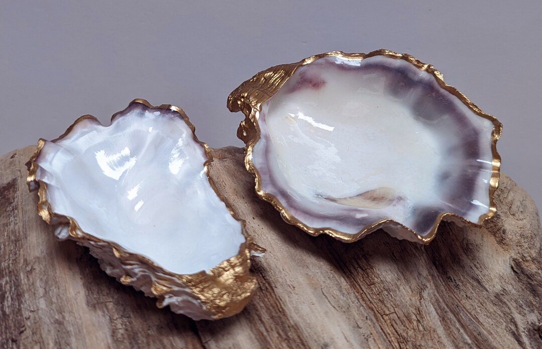 Oyster Shells / Decorative Shells / Shell Dish / Set of Two Etsy