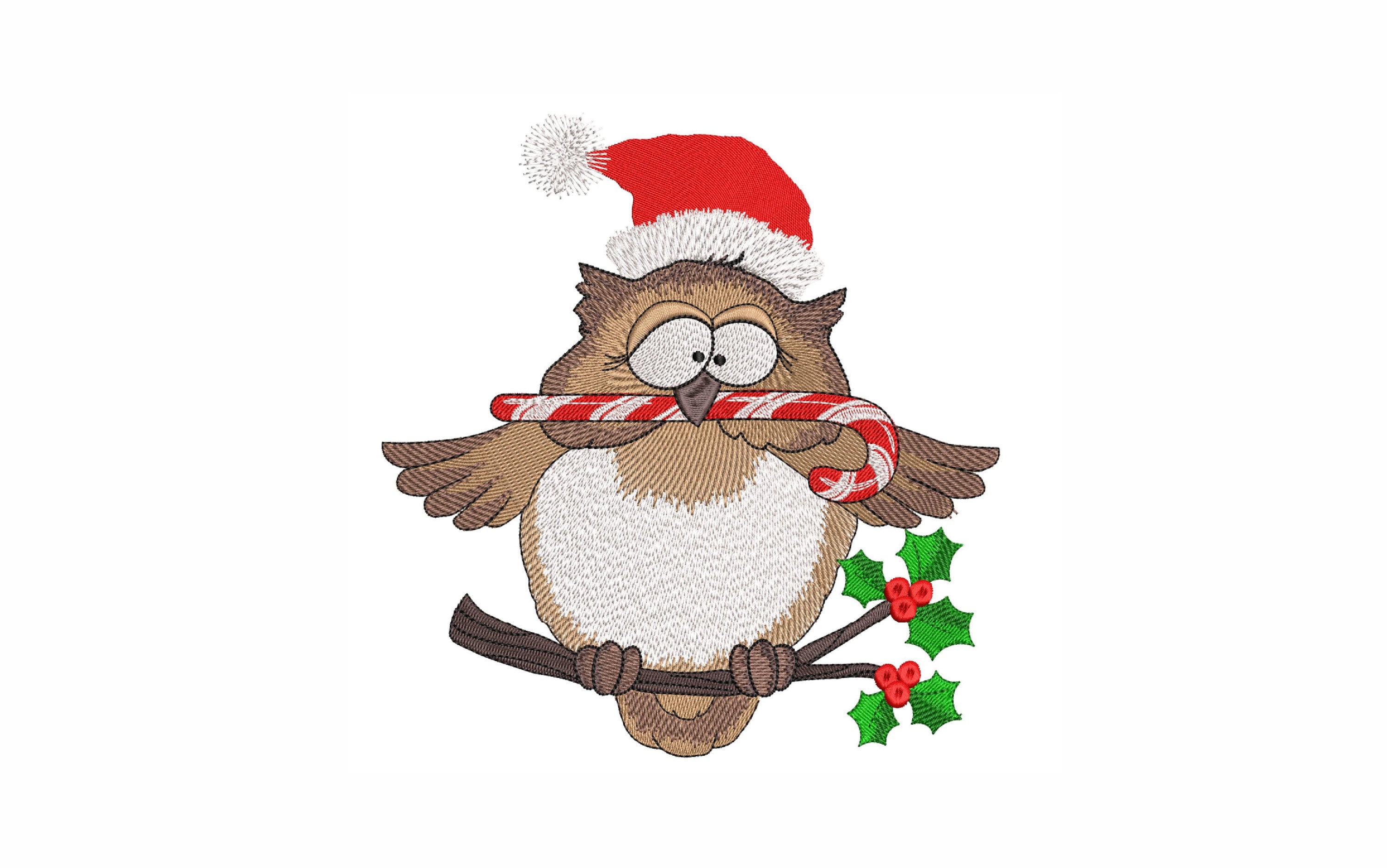 Christmas Owl Machine Embroidery Design. 4 Sizes. Christmas Bird Embroidery Design