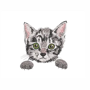 May include: A gray and white tabby kitten with green eyes peeks over a surface with its paws outstretched.