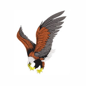 Bald Eagle Machine Embroidery Design. 7 Sizes. Bird Embroidery Design
