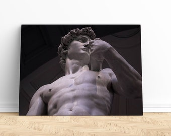 The David Canvas Wall Art Print | David statue print, Greek mythology print, michelangelo david print, michelangelo print, michelangelo art