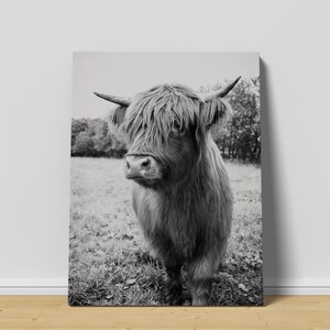 Highland Cow Print | Canvas art print, Highland Cow Canvas, Highland Cattle Print, Highland Cattle Prints, Highland Cattle Art, Highland cow