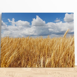 Prairie prints | Photo canvas print, Wheat field print, Canadian prints, Farm prints, Wheat field art print, Wheat field wall art, Prairies