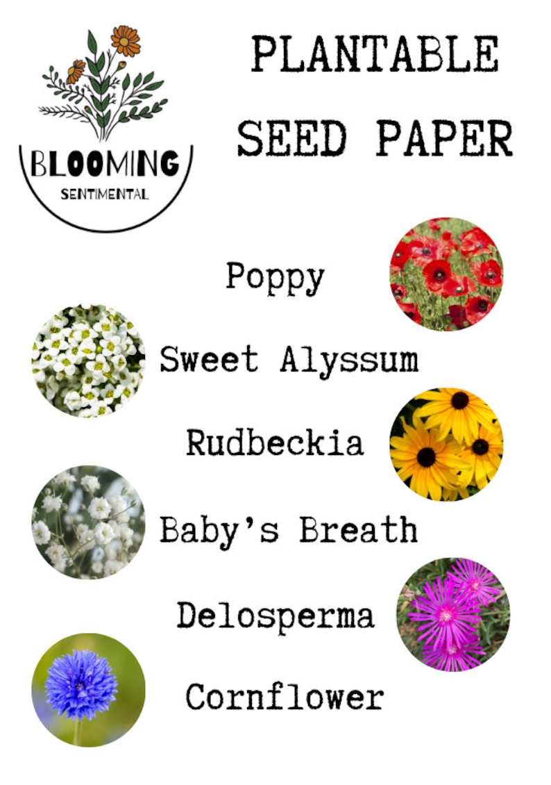 May include: Plantable seed paper with images of different flowers, including poppy, sweet alyssum, rudbeckia, baby's breath, delosperma, and cornflower. The text "Plantable Seed Paper" is at the top of the image, and the text "Blooming Sentimental" is in a circle at the top left of the image.