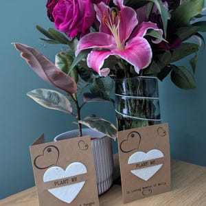 May include: Two brown cards with white heart-shaped seed paper that says "Plant Me" on them. The cards are on a wooden surface with a bouquet of pink and purple flowers in a glass vase behind them. The text on the cards reads "In Loving Memory of Fergus" and "In Loving Memory of Molly".