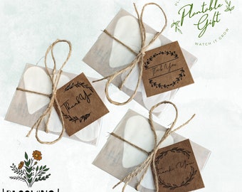 Plantable Seed Paper Hearts: Thank You Gift, Wildflower Favours