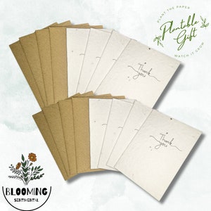 May include: A stack of 15 plantable thank you cards with brown envelopes. The cards are made of white paper with embedded seeds. The text "Plantable Gift" and "Watch it Grow" is printed on the top of the cards. The text "Thank you" is handwritten on the cards.