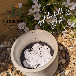 May include: A gray ceramic pot with a white paper flower seed disc inside. The pot is sitting on a bed of small rocks. The text "Plantable Gift" is written in white on a green background with white flowers.
