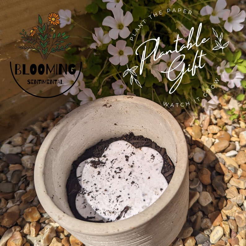 May include: A gray ceramic pot with a white paper flower seed disc inside. The pot is sitting on a bed of small rocks. The text "Plantable Gift" is written in white on a green background with white flowers.