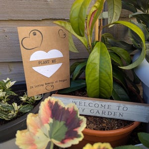May include: A brown card with a white heart-shaped seed paper that says "PLANT ME" and "In Loving Memory of Fergus". The card is sitting in a pot with a green plant and a sign that says "WELCOME TO MY GARDEN".