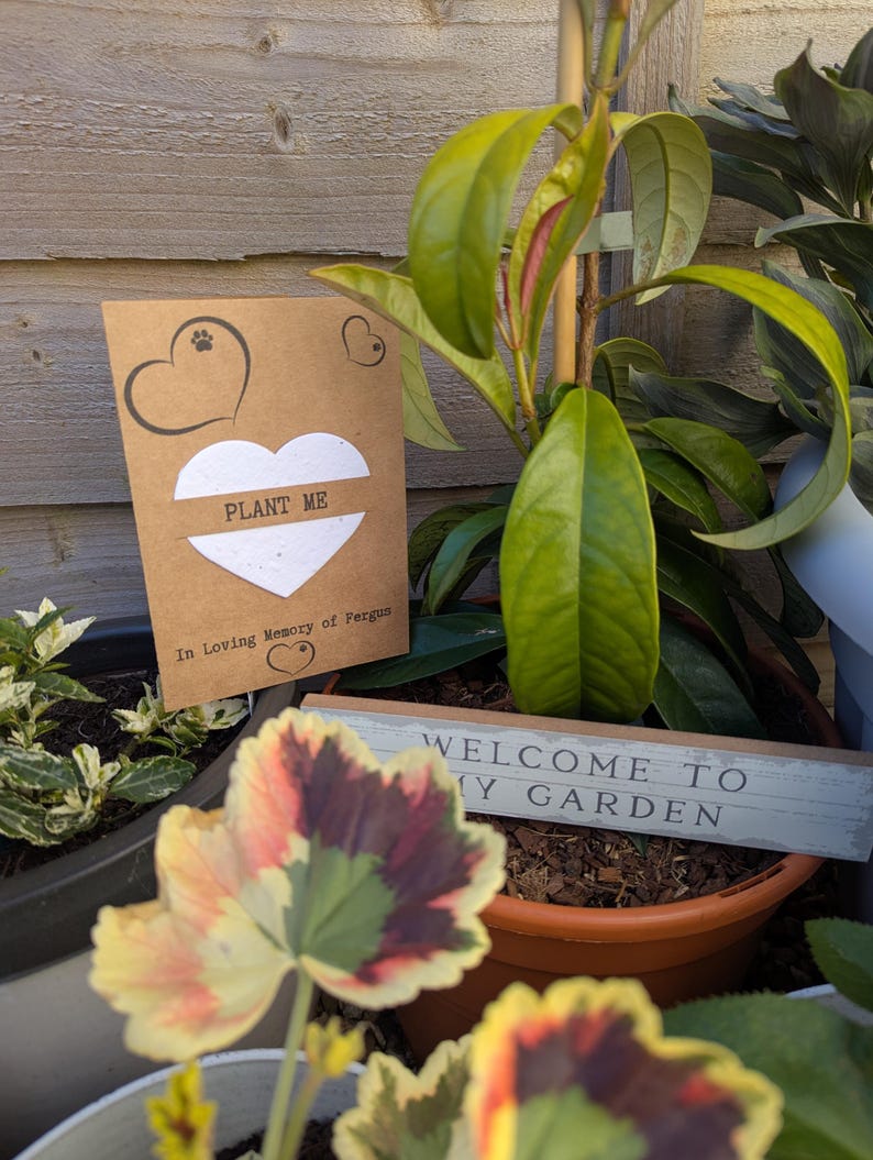 May include: A brown card with a white heart-shaped seed paper that says "PLANT ME" and "In Loving Memory of Fergus". The card is sitting in a pot with a green plant and a sign that says "WELCOME TO MY GARDEN".