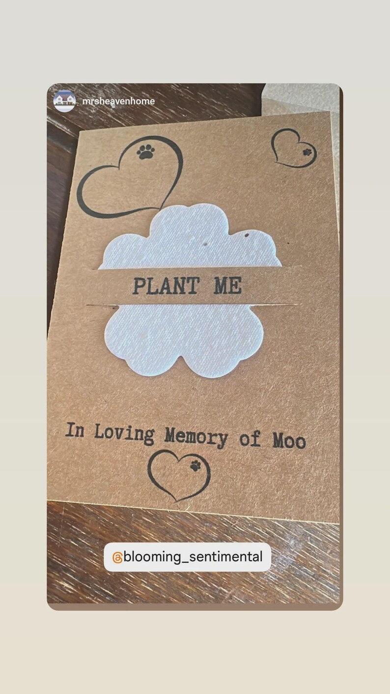 Personalised Seed Paper Pet Bereavement Card. A6 Pet Loss Sympathy Card With Envelope. Plantable UK Wildflowers. Loving Memory Cat Dog Loss image 9