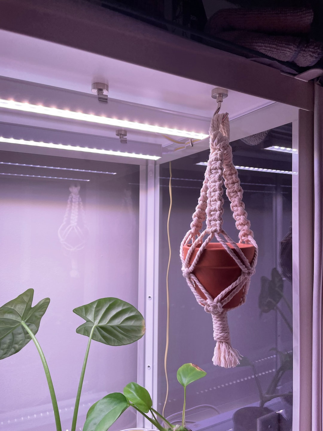 Ikea Greenhouse Macrame Planter, Accessories for Milsbo Baggebo Rudsta