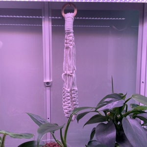 Tassel Free Mini Macrame Hanger for IKEA Indoor Greenhouse, Small Plant Hanger, Plant Organization Plant Decor, Deluxe Style Macrame Hanger