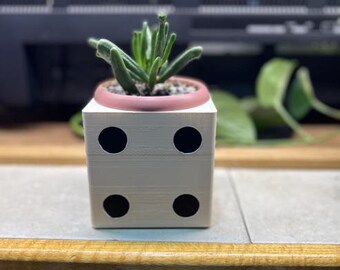 3D Printed D6 Flower Pot/ Planter