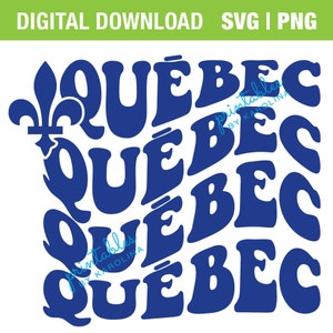 Quebec svg 24 giugno svg St Jean day shirt Fete National de la St Jean Baptiste festa nazionale del Quebec fleur de lis svg francese svg retrò svg