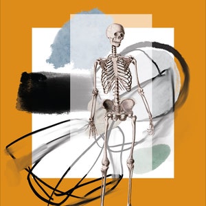 Still life wall poster with skeleton and abstract elements Digital print download image 2