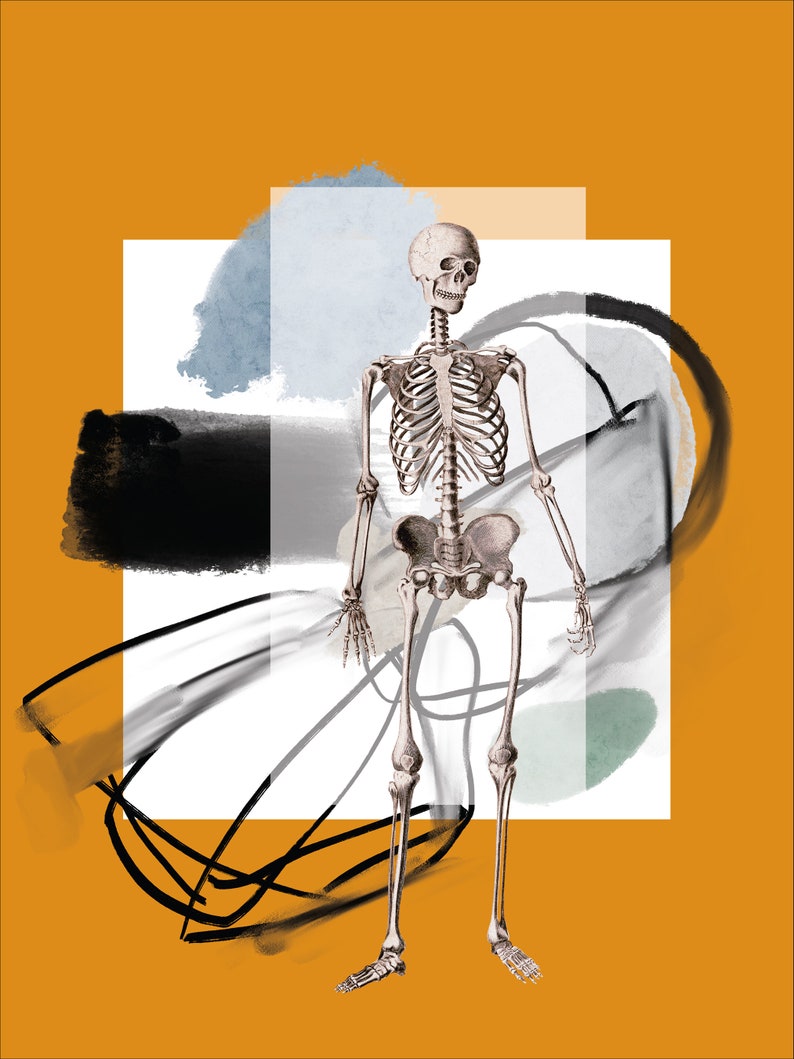 Still life wall poster with skeleton and abstract elements Digital print download image 2