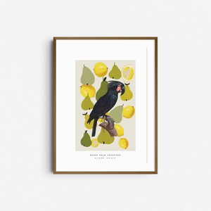Cartel colorido de arte de pared con pájaros, frutas y formas geométricas abstractas - Impresión de descarga digital imagen 1
