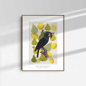 Cartel colorido de arte de pared con pájaros, frutas y formas geométricas abstractas - Impresión de descarga digital imagen 7