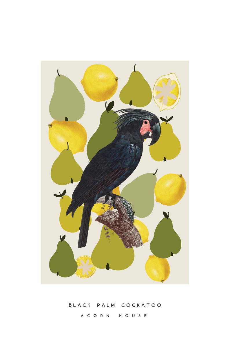 Cartel colorido de arte de pared con pájaros, frutas y formas geométricas abstractas - Impresión de descarga digital imagen 3