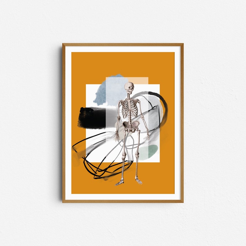 Still life wall poster with skeleton and abstract elements Digital print download image 1