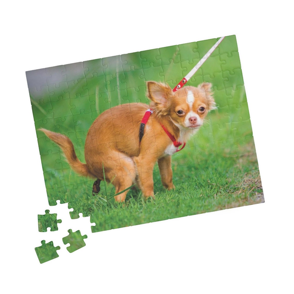 Pooping Chihuahua Jigsaw Puzzle Adult Gag Prank Dog Lovers Etsy