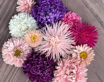 Aster Mix seeds