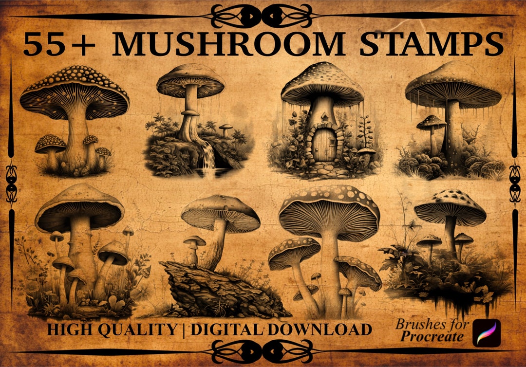 55+ Mushroom Procreate Brush Stamps - Etsy
