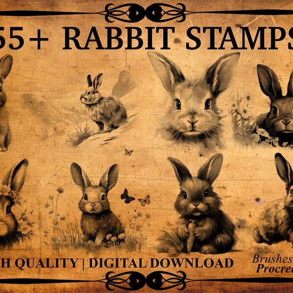 55+ Rabbit Procreate Stamps | Bunny Procreate Stamps