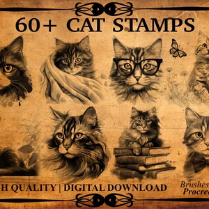 60+ Cat Procreate Brush Stamps